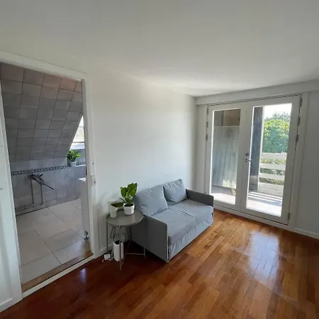 Fully Furnished With Shared Kitchen And Bathroom 6 דירה